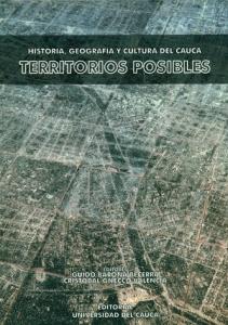 “Prospectiva política de la salud en el Cauca”.